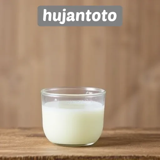 Panduan Lengkap Menggunakan Hujantoto Untuk Pemula